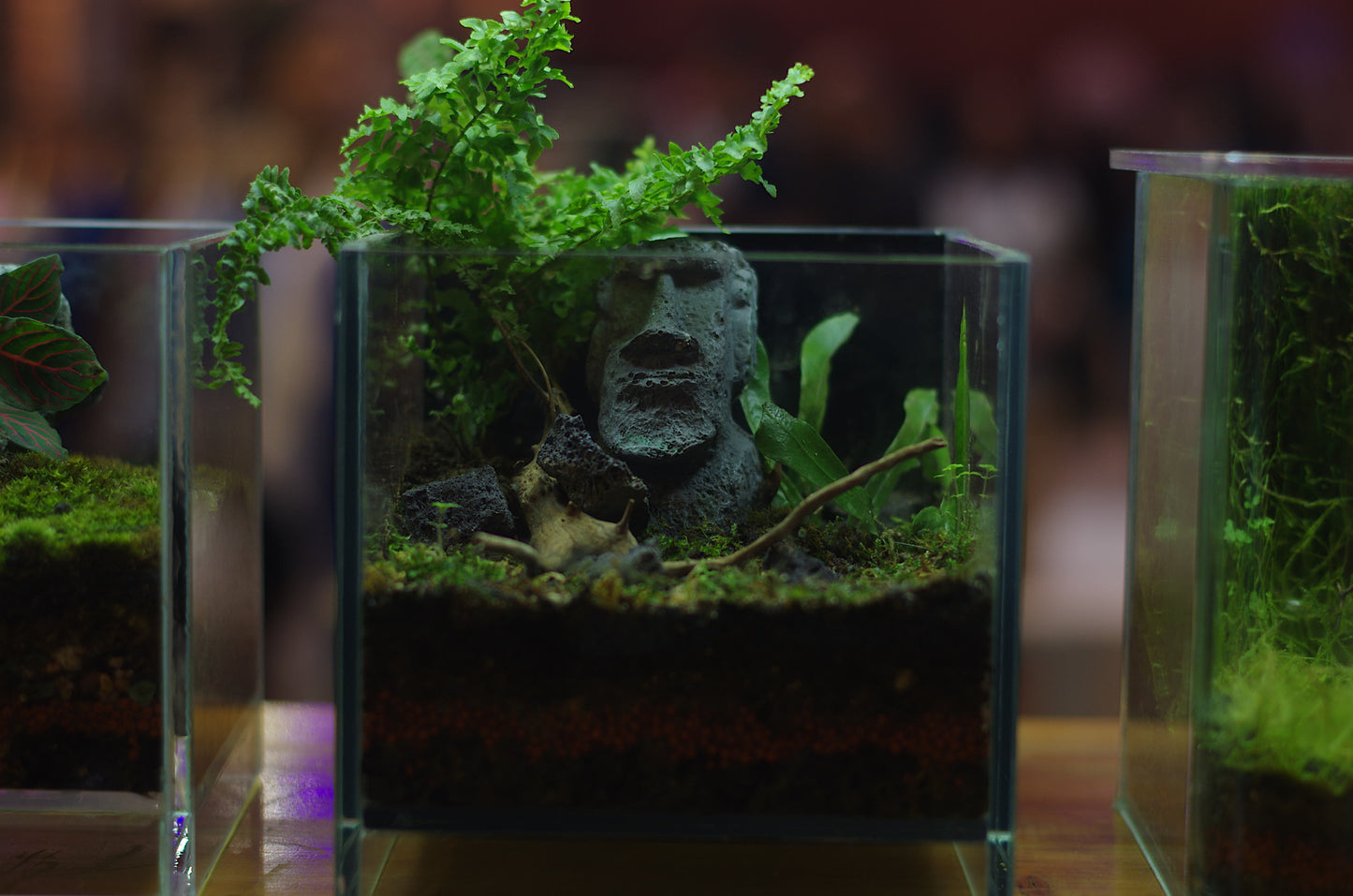 Miniature Terrarium Workshop by Nature Design Studio; 10:00 AM - 12:00 PM