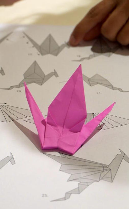 Crease and Create- The Art and Structure of Folding an Origami: 13 Nov | 7:30 PM - 9:30 PM